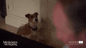 standing midsomer murders GIF by Acorn TV