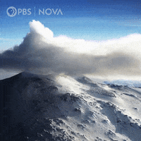Pbs Biology GIF by WGBH Boston