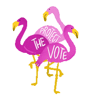 Right To Vote Voting Rights Sticker by Creative Courage