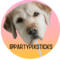 partypixsticks party dog celebration small business Sticker