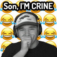 Sanelios im crine son im crine sanelios GIF
