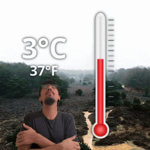 3 °C