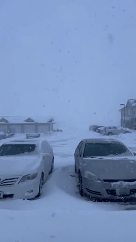 Heavy Snow Lowers Visibility in Iowa