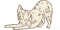 Dog Love Sticker by goliatandfriends