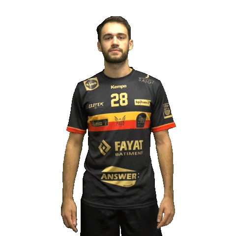 pauchandball giphyupload love sport handball Sticker