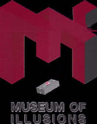 Moidoha fun weekend moi doha GIF