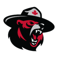 Canadian Bear Sticker by Noble North Co.