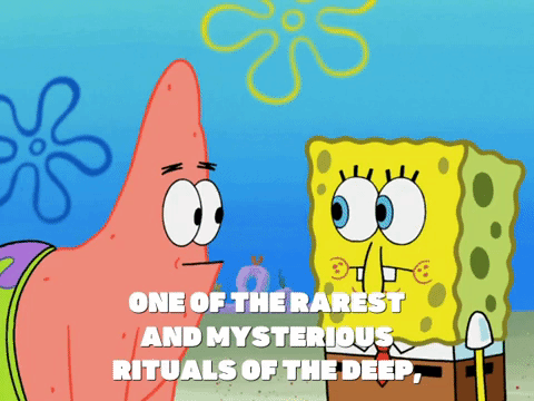 season 7 the play's the thing GIF by SpongeBob SquarePants