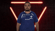 Cant Hear You Sv Darmstadt 98 GIF by Bundesliga