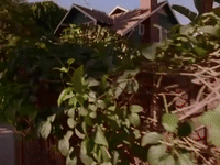 journey of allen strange nicksplat GIF