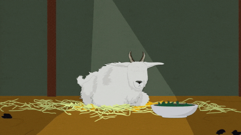 goat looking GIF by South Park 