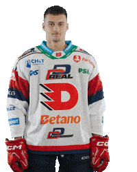 Hockey Czech Sticker by HC Dynamo Pardubice