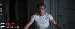 yell classic film GIF by FilmStruck
