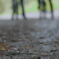 Legacy Emanet GIF by Eccho Rights