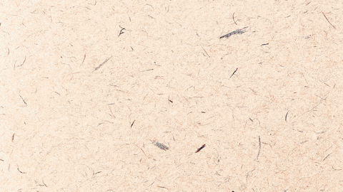 claradonoso28e7a415fe1d4e998e84da4f0e0e72c6 giphyupload GIF