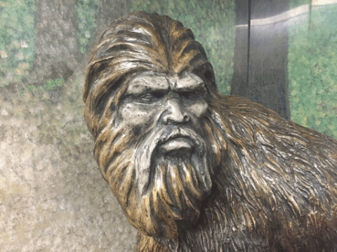 BigfootEruption giphygifmaker restaurant washington pub GIF
