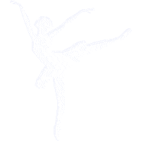 elistorycriativo dança elistorycriativo balé Sticker