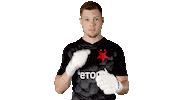 Fight Football Sticker by SK Slavia Praha