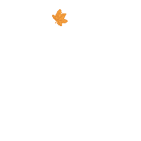 Fall Leaves Sticker