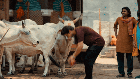 Rajkummar Rao Trending GIF by MaddockFilms