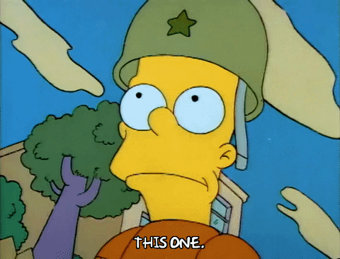 Season 1 GIF by The Simpsons