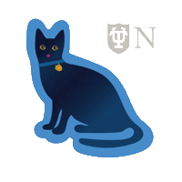 Cats Sticker by Newcomb Institute