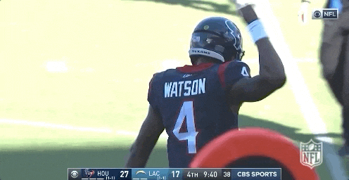 Houston Texans Football GIF by NFL