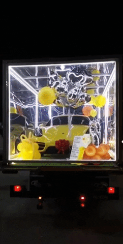 yj_jane giphyupload GIF