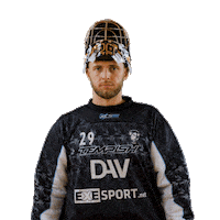 Floorball Deli Sticker by Český florbal
