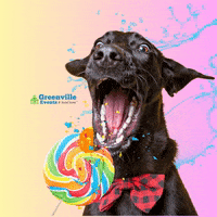 Puppy GIF by Greenville Events