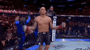 Mixed Martial Arts Sport GIF by UFC