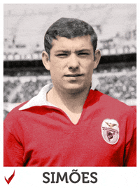 Sl Benfica Simoes GIF by Sport Lisboa e Benfica
