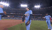 World Series Win GIF by Toronto Blue Jays