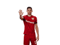 Waving Bayer 04 GIF by Bayer 04 Leverkusen