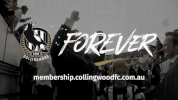 grand final banner GIF by CollingwoodFC