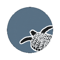 Ocean Swim Sticker by Amanda Black