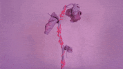 Broken Heart Love GIF by Annique Delphine
