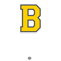 B Sticker by ballinamsterdam