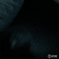 Season 3 Showtime GIF by Billions