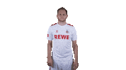 1 Fc Cologne Football Sticker by 1. FC Köln