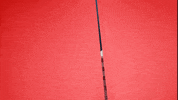 KinoMoviemento cinema kino curtain vorhang GIF