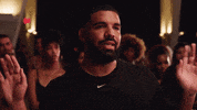 Drake No Guidance GIF by Chris Brown