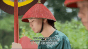 zhen huan zhuan GIF