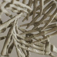 Art Halloween GIF by Pi-Slices