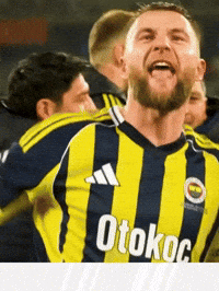 Milan Skriniar GIF by Socinflu