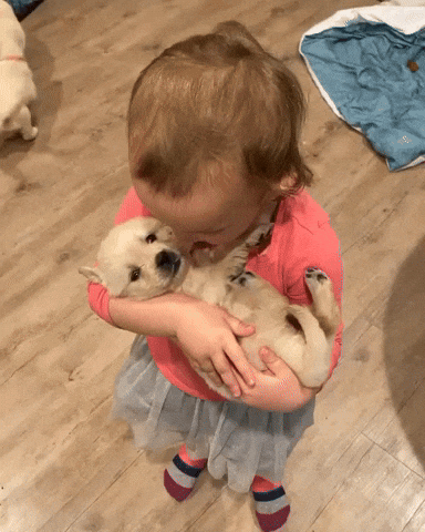 cuteanimalland giphyupload GIF