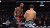 Fight Yes GIF by MolaTV