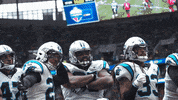 Nfl GIF by Carolina Panthers
