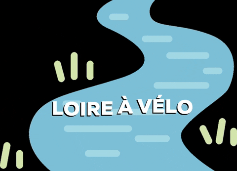 Loire À Vélo GIF by Slow Village