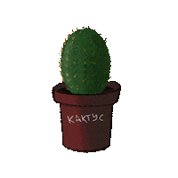 Flower Cactus Sticker